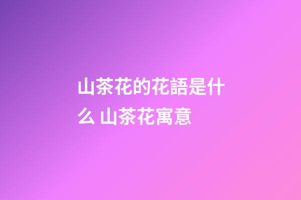 山茶花的花語是什么 山茶花寓意